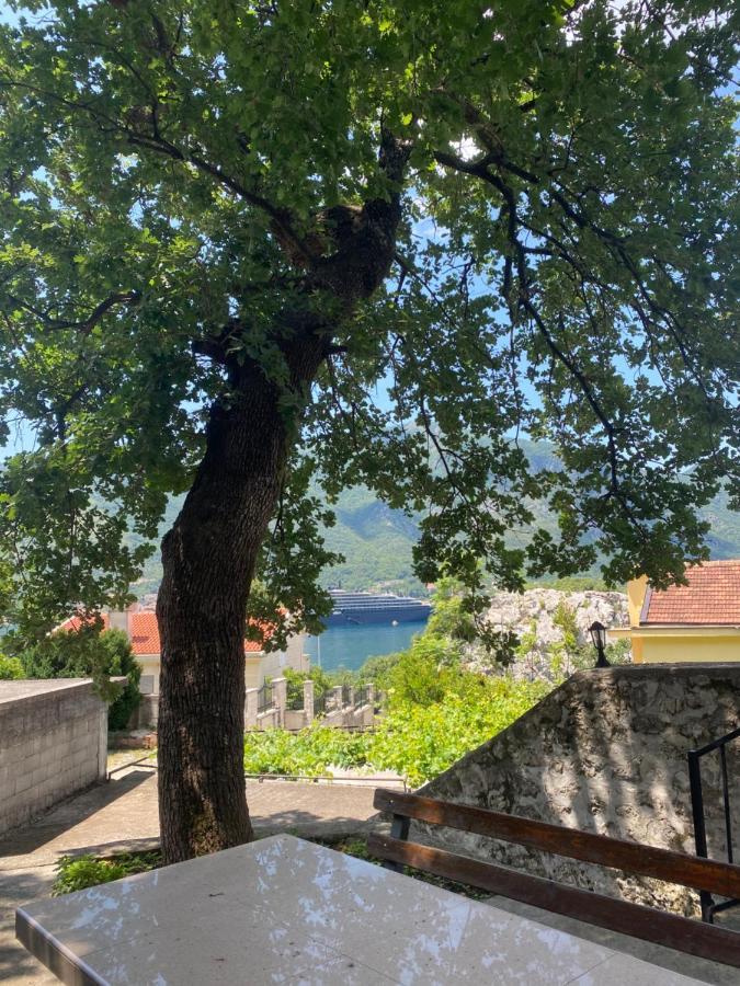 Vasiniko Apartment Kotor Exteriér fotografie